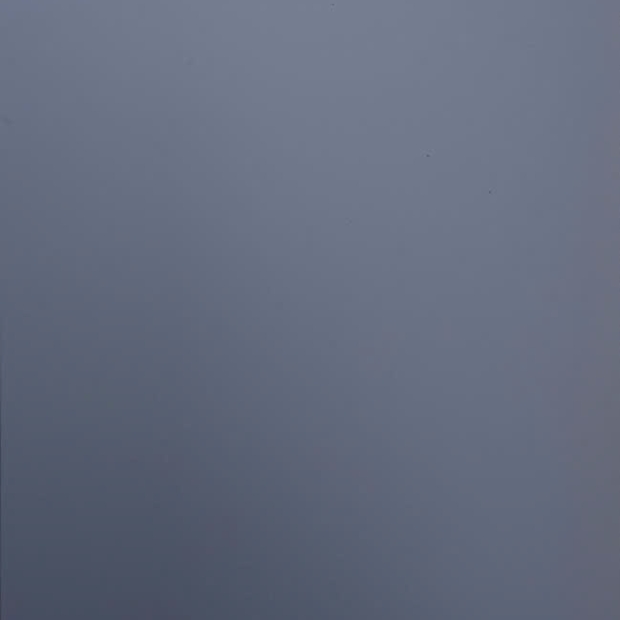 il-38009-pmt